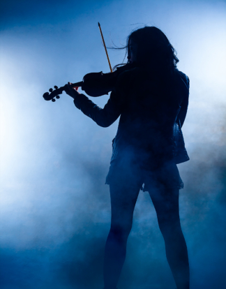 Geige Music Business Swissperform